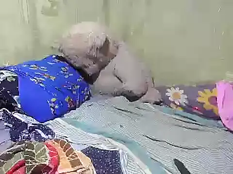 Alora-shine online show from 02-18-25, 09:21