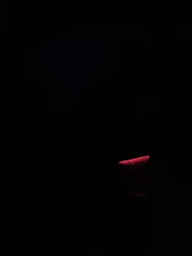 dingoding online show from 01-14-25, 02:50