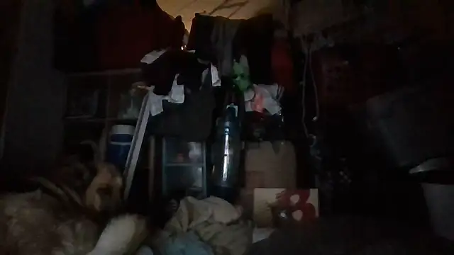 brandonontop online show from 02-11-26, 03:00