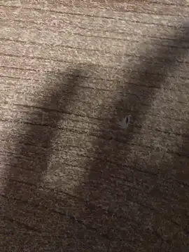 Snapshot of gokhanbey34 chatting on 12-21-25, 12:40 gokhanbey34 online show from 12-21-25, 12:40