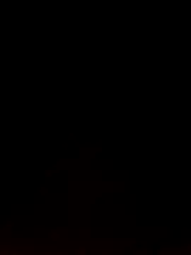 Snapshot of Like_african chatting on 02-09-26, 04:33 Like african online show from 02-09-26, 04:33