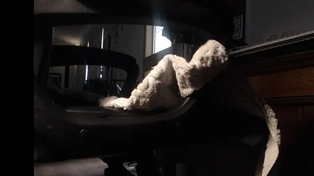 Snapshot of mybigfathead chatting on 09-21-25, 06:53 mybigfathead online show from 09-21-25, 06:53