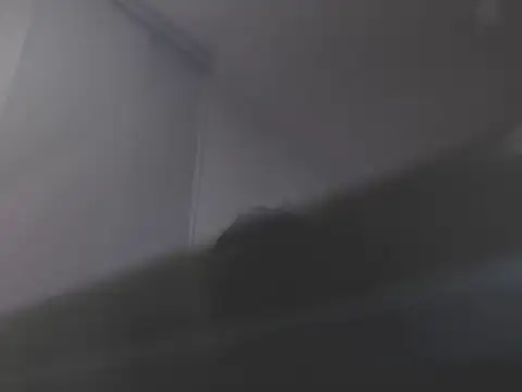 Snapshot of violetasweet11 chatting on 02-19-26, 07:04 violetasweet11 online show from 02-19-26, 07:04