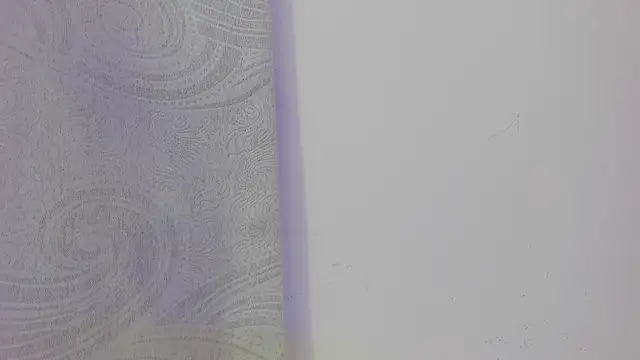 KendalStallyon online show from 11-26-25, 08:54