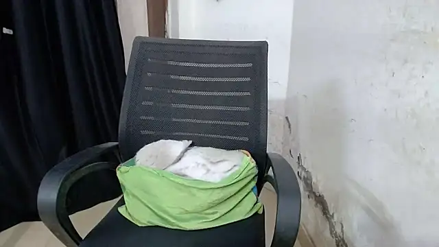 sexy vani1 online show from 03-10-26, 06:46