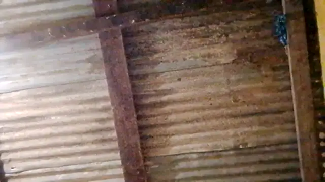 LULE37587001 online show from 02-20-26, 11:05