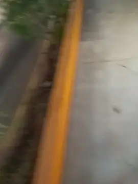 Snapshot of sagrado_1989 chatting on 02-08-26, 01:31 sagrado 1989 online show from 02-08-26, 01:31