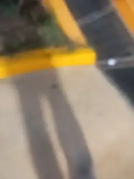 Snapshot of sagrado_1989 chatting on 02-23-26, 01:47 sagrado 1989 online show from 02-23-26, 01:47