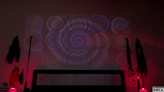 Amanita  Pantherina online show from 01-29-25, 05:19