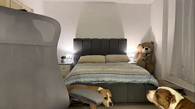 nurbanu hatem online show from 02-13-26, 08:43