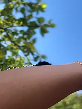 Snapshot of LukeLouHarvey chatting on 09-20-25, 03:51 LukeLouHarvey online show from 09-20-25, 03:51