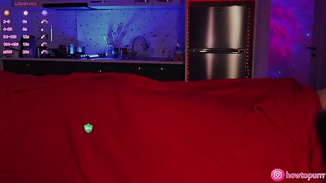 Snapshot of How2Meow chatting on 02-06-26, 05:27 How2Meow online show from 02-06-26, 05:27