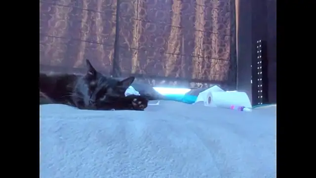 amareto queen online show from 03-25-26, 07:53