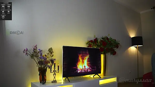 Snapshot of maryssaa_ chatting on 11-26-25, 05:03 maryssaa online show from 11-26-25, 05:03