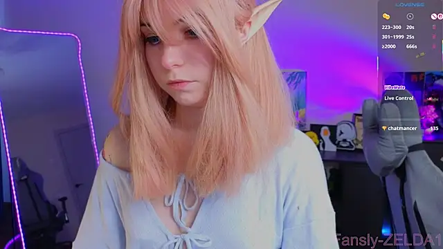 zelda 1 online show from 06-25-26, 09:36