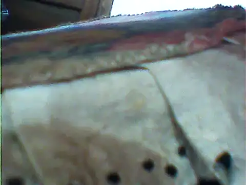 Snapshot of messi_syssy chatting on 02-25-25, 10:58 messi syssy online show from 02-25-25, 10:58