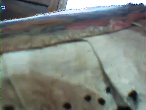 Snapshot of messi_syssy chatting on 02-25-25, 02:00 messi syssy online show from 02-25-25, 02:00