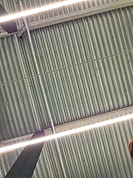 LeticiaWoods online show from 10-19-25, 12:28