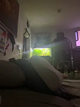 Toyjungee online show from 01-12-26, 08:08