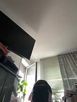 Toyjungee online show from 07-27-26, 11:39