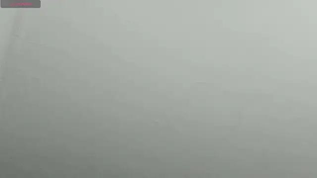 natasha logan  online show from 02-09-25, 04:25