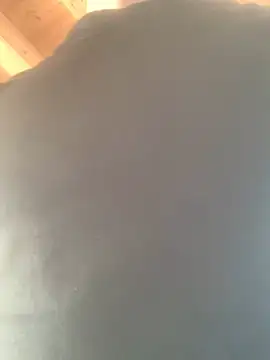 Snapshot of Fellix chatting on 02-17-25, 11:34 Fellix online show from 02-17-25, 11:34