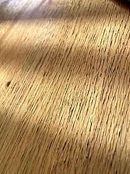 Snapshot of Fellix chatting on 01-07-26, 11:23 Fellix online show from 01-07-26, 11:23