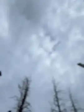 GoldenFlameGoddess online show from 07-14-26, 02:34