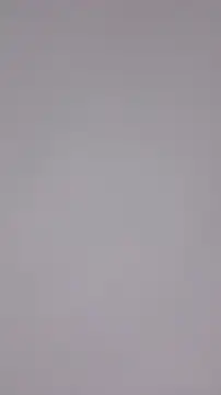 Maple Honeycome online show from 12-22-24, 07:11