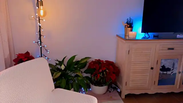 anabelcurvy online show from 12-08-24, 04:07