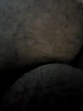 Mallupaiyanaachu online show from 02-03-25, 04:31