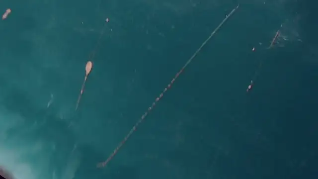 CharlotteBigCock online show from 01-12-25, 03:25