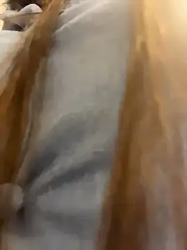 Snapshot of Reggie-Liam chatting on 01-09-26, 12:46 Reggie-Liam online show from 01-09-26, 12:46