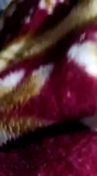 Longlund9 online show from 12-15-24, 04:48