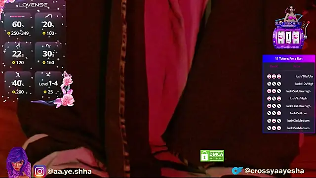 CrossyAayesha online show from 11-25-25, 04:40