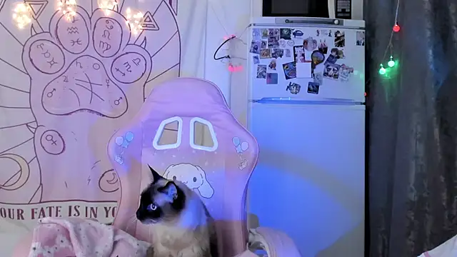 Holy420lolii online show from 01-18-26, 06:23