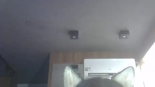 Skinny-Kitten online show from 12-03-25, 11:14