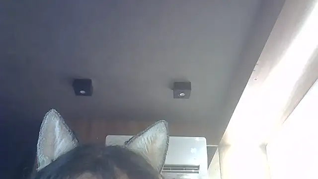 Skinny-Kitten online show from 12-20-25, 11:39