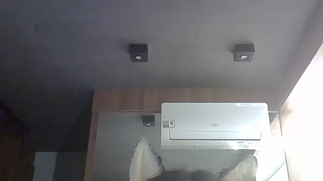 Skinny-Kitten online show from 02-15-26, 07:51