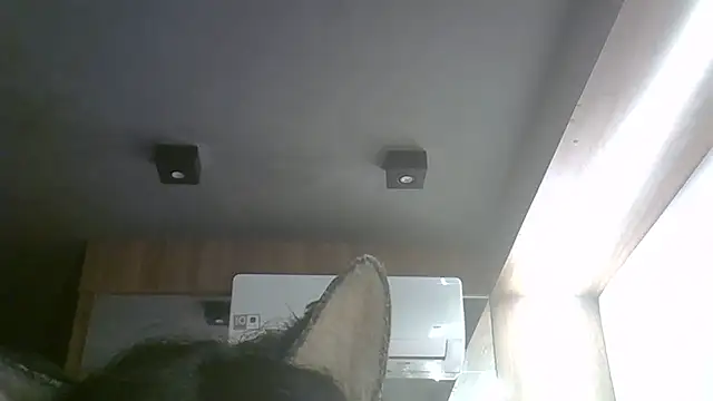 Skinny-Kitten online show from 05-17-26, 11:17