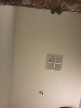 lofibunni online show from 04-11-26, 05:17