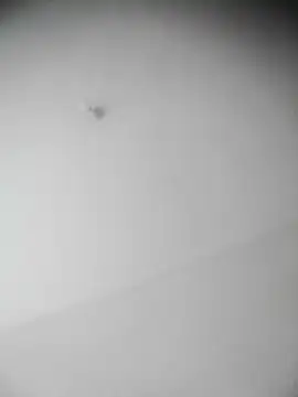 Snapshot of bestofyalcinturkey chatting on 12-03-24, 12:49 bestofyalcinturkey online show from 12-03-24, 12:49