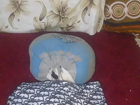 Pretty hazel online show from 04-28-26, 01:27