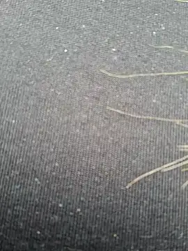 Evehampy online show from 12-01-24, 06:08