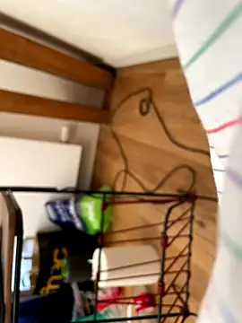 la chiennete online show from 09-27-25, 01:05