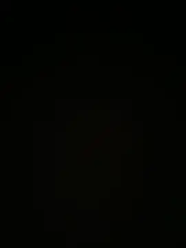 la chiennete online show from 10-04-25, 11:08