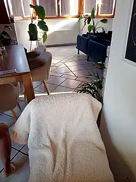 Snapshot of Isabellaa04 chatting on 10-11-25, 02:15 Isabellaa04 online show from 10-11-25, 02:15