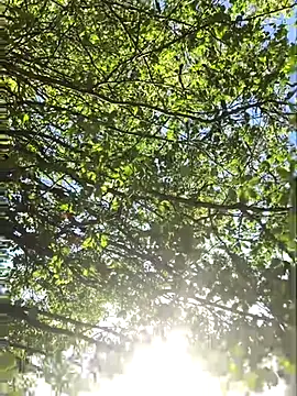 hottottrot691 online show from 09-28-25, 09:09