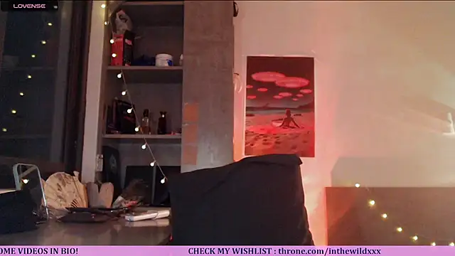 Snapshot of Cassie_Wild chatting on 07-02-26, 01:06 Cassie Wild online show from 07-02-26, 01:06