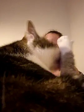 Snapshot of Wisie_Cutie chatting on 02-19-25, 11:04 Wisie Cutie online show from 02-19-25, 11:04